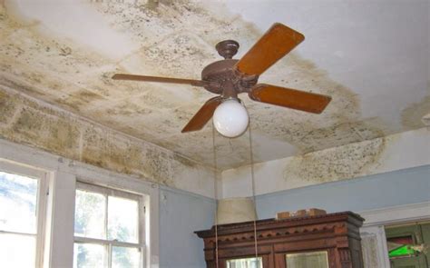 Water damage coverage for roof leaks. Does Homeowners Insurance Cover Water Damage?