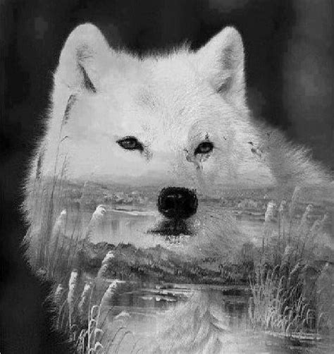 Pin By Gwen Gwendell Parsons On Wolves Wolf Spirit Wolf Photos