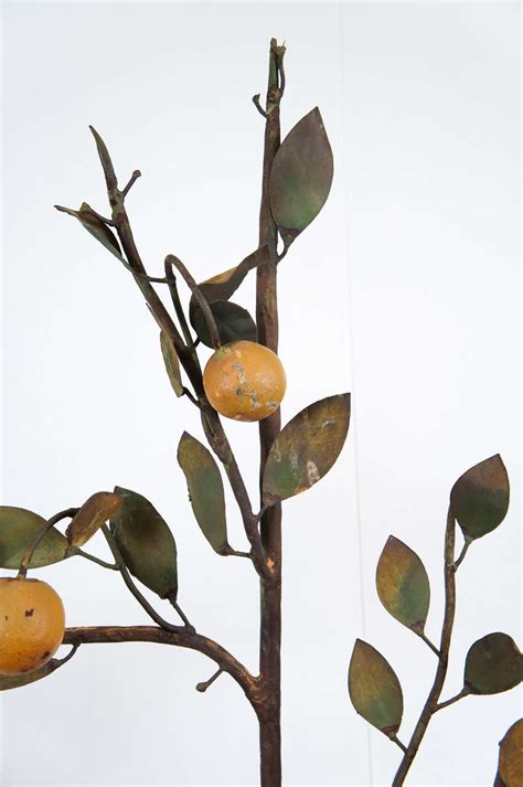 metal topiary lemon tree at 1stdibs