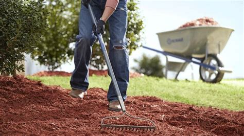 Check spelling or type a new query. Garden Tools Buying Guide | Lowe's