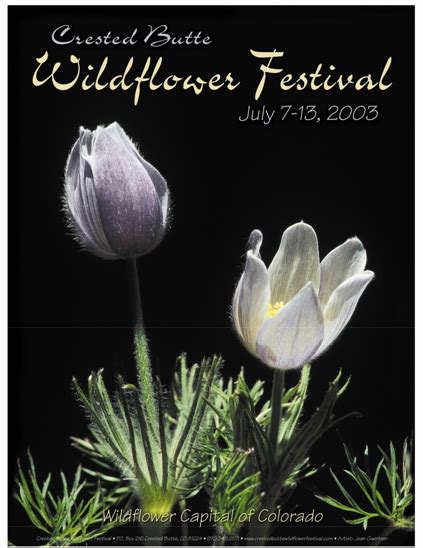 Poster2003 Crested Butte Wildflower Festival