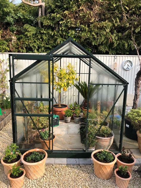 Halls 6x8 Forest Greenhouse In Poole Dorset Gumtree
