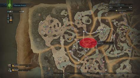 Monster Hunter World Ancient Forest Map Maping Resources