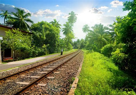 Railroad Through The Forest Stock Photo Image Of Landscape Dusk