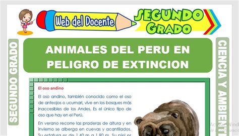Animales Del Perú En Peligro De Extinción Para Segundo Grado De Primaria