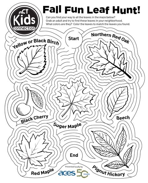 Kids Connection Fun With Science Why Do Leaves Change Colors Nbc