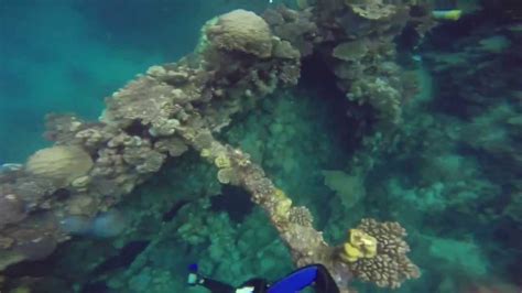 Diving On The Iona Ship Wreck Yanbu Saudi Arabia 17012014 Amazing Youtube