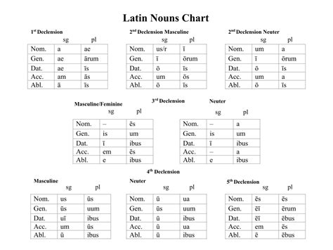 Nouns Chart Latin Dictionary Notes
