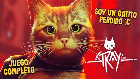 Soy Un Gatito Perdido Stray Juego Completo En EspaÑol Youtube