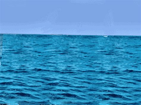 Море Гифки Анимация Картинки Telegraph