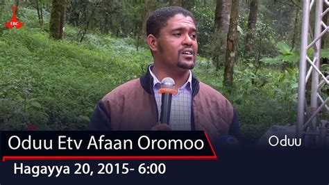 Oduu Etv Afaan Oromoo Hagayya 20 2015 600 Youtube
