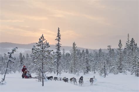 Ovation Swedish Lapland Winter Adventure At Its Best