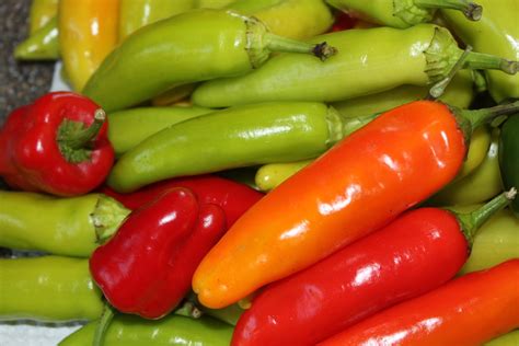 ALL ABOUT PEPPERS...How To Grow All Kinds Of Garden Peppers - Old World ...