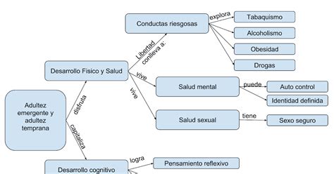 Adultez Intermedia Desarrollo Fisico Cognitivo Y Fisico Mapa Conceptual