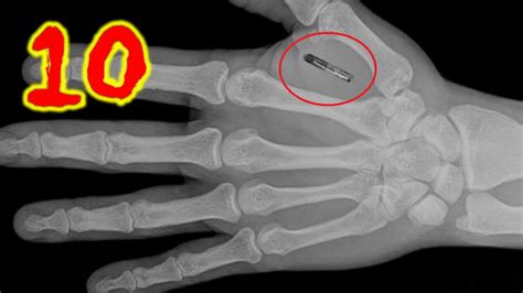 10 Fast Facts About The Mark Of The Beast Not Real Id Rfid