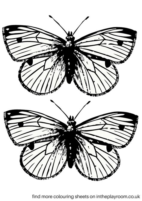 Coloring design freerfly coloring pages design book ideas page. Free Printable Butterfly Colouring Pages - In The Playroom