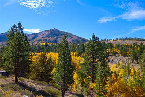 The arc dome wilderness comprises of the southern third of the toiyabe range, which is a rugged spine of mountains in central nevada with difficult access. Humboldt-Toiyabe National Forest | Flickr - Photo Sharing!