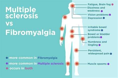 Multiple Sclerosis Multiple Sclerosis Symptoms And Causes Mayo Clinic