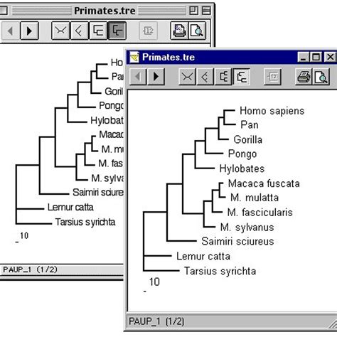 Treeview Alternatives And Similar Software