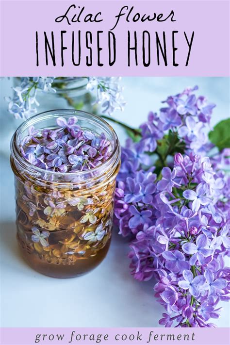Lilac Flower Infused Honey Recipe Edible Flowers Recipes Flower