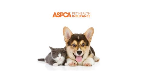 The process is simple and convenient and your reimbursement can cover up to 90% of your covered bill. Aspca pet insurance review - insurance
