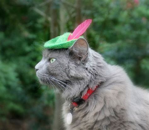 Hats For Cats The Green Head