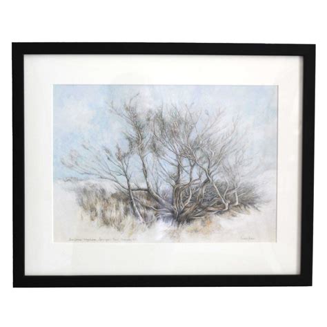 Susan Fecho - Juniperus virginian, Early Morning | Pocosin Arts