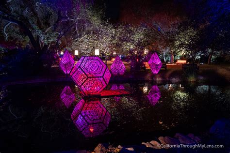 Descanso Gardens Enchanted Forest Of Lights Christmas Lights Display