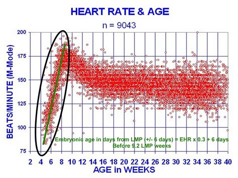 Your resting pulse will vary with age. Datoteka:EHR-BBII.jpg - Wikipedija