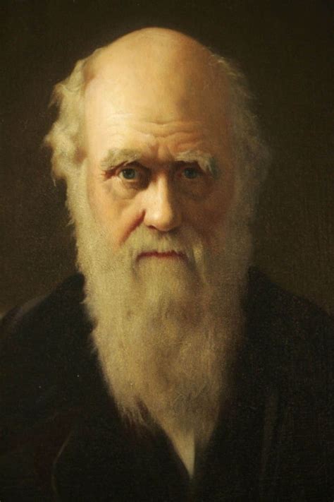 Beaux Livres Darwin Pour Le Grand Public Le Devoir