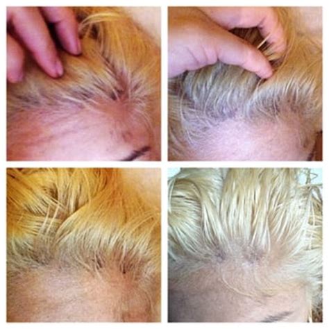Gino For Hair - 36 Photos & 27 Reviews - Hair Salons - 350 ...
