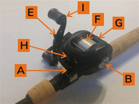 Top 10 How To Set Up Baitcasting Reel