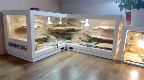 Very Cool Vivarium Reptile Terrarium Reptile Cage Reptile Room