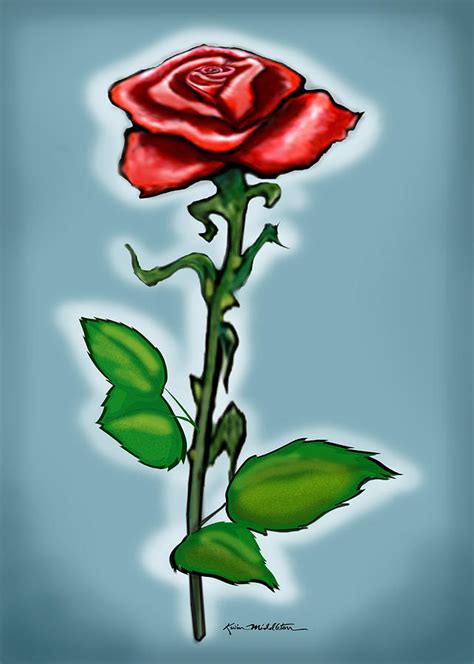 Single Red Rose Drawing At Getdrawings Free Download
