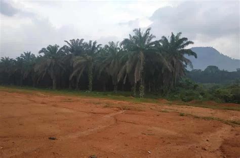 Tanah yg diisytiharkan tidak boleh. Lebih 640 hektar tanah rizab Melayu di Sitiawan hilang ...