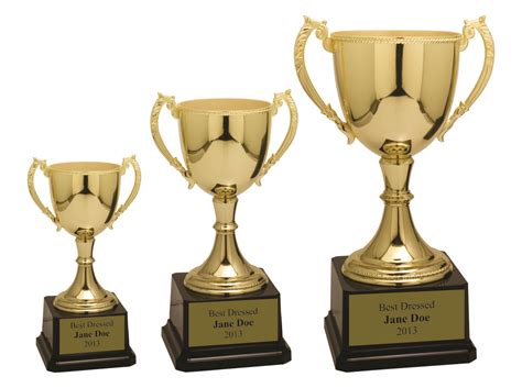 Metal Cup Trophies Trophy With Metal Cup Trophycentral