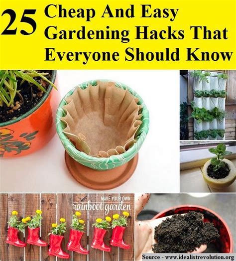 25 cheap and easy gardening hacks that everyone should know easy gardening hacks easy garden