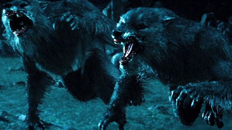 The True Wolfs Head Werewolf Is Better Than The Normal Werewolf