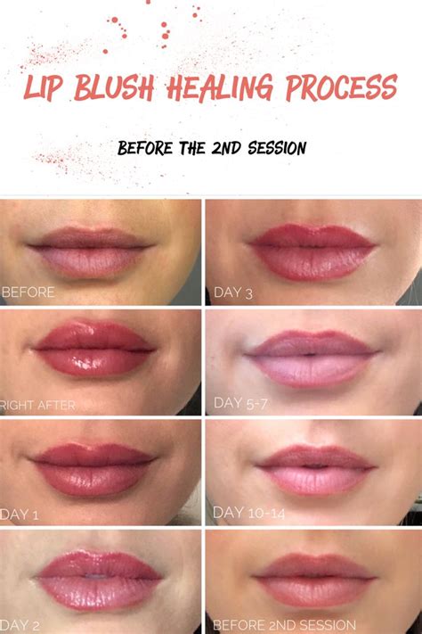Lip Blushing Lábios Ilustração Lábios Pigmentação