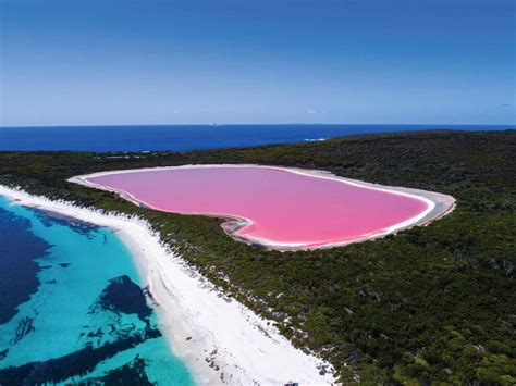 Lago Hillier Un Toque Rosa En Australia El Souvenir