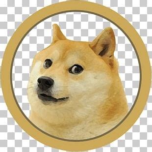Doge official song available on roblox. Decal Id For Roblox Doge