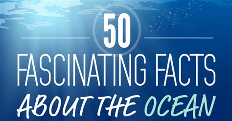 50 Fascinating Facts About Our Oceans Infographic Twistedsifter