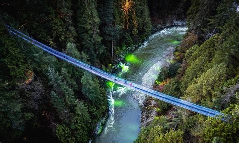 Canyon Lights Returns To Capilano Suspension Bridge This Holiday Season