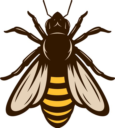 Download Honey Vector Pic Bee Free Clipart Hd Hq Png Image Freepngimg