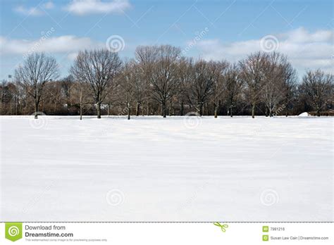 Field Of Snow With Tree Line Stock Photo Image Of