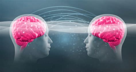 Telepathy Two Human Heads With Visible Brains Connect Together 照片檔及更多 X