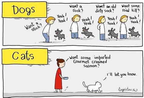 10 Hilarious Comics That Perfectly Illustrate The Differences Between