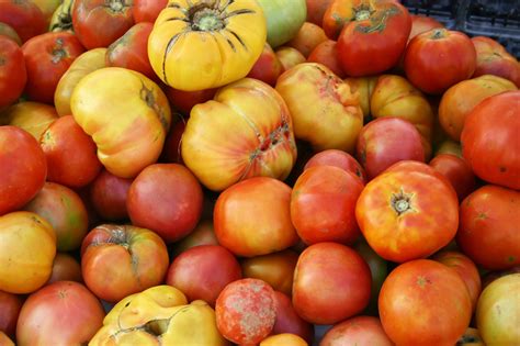 Tomato Varieties Making The Most Of Your Choice Alabama Cooperative