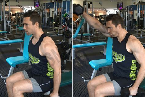 How To Seated Dumbbell Front Raise Ignore Limits