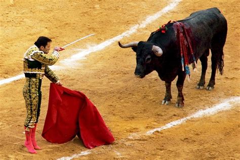 How To Watch A Bullfight Matador Network